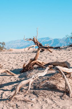 Mesquite Düz Kum Tepeleri, Ölüm Vadisi Ulusal Parkı, Kaliforniya, ABD
