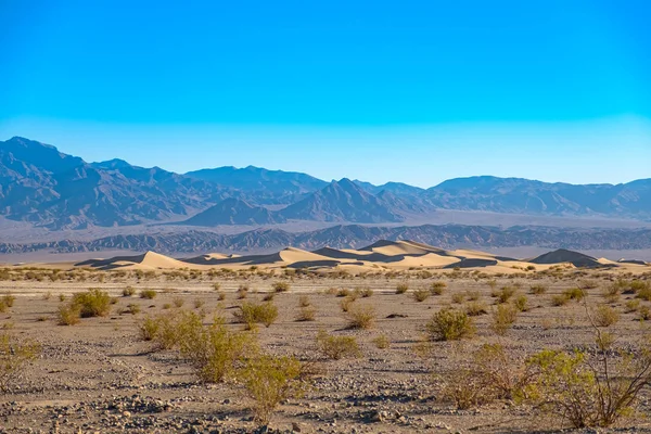 Mesquite Flat Sanddyner Death Valley National Park Kalifornien Usa — Stockfoto