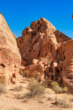 Nevada, ABD 'deki Fire State Park Vadisi' nde eşsiz kırmızı kumtaşı oluşumları.
