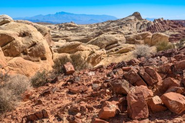 Nevada, ABD 'deki Fire State Park Vadisi' nde eşsiz kırmızı kumtaşı oluşumları.