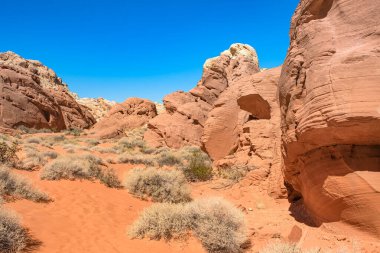 Nevada, ABD 'deki Fire State Park Vadisi' nde eşsiz kırmızı kumtaşı oluşumları.
