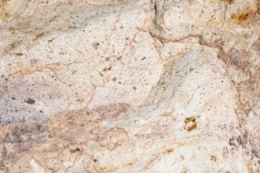 Metin veya resim için alanı olan klasik arkaplan