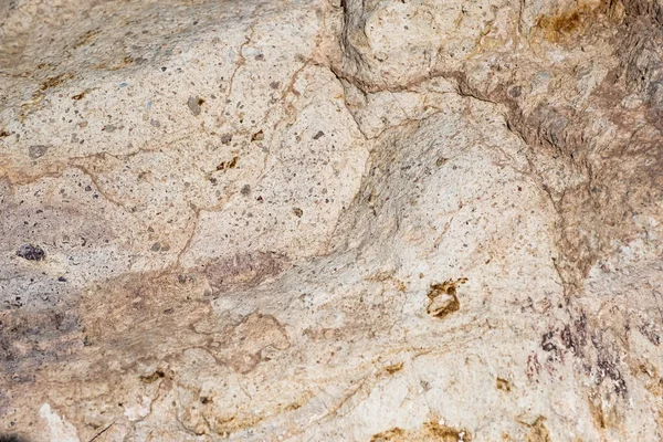 Metin veya resim için alanı olan klasik arkaplan