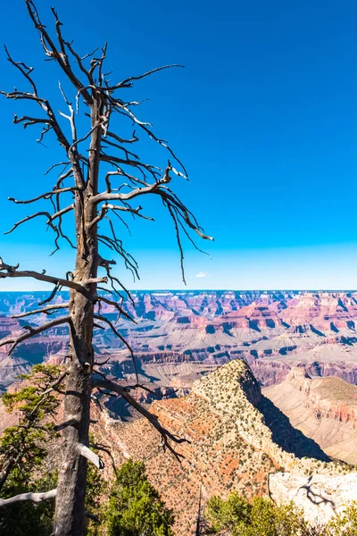 Parque Nacional Grand Canyon — Fotografia de Stock