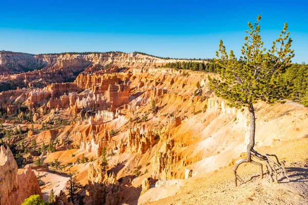 Bryce Kanyon Nemzeti Park Utah Usa — Stock Fotó