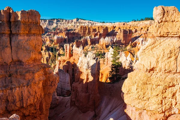 Bryce Kanyon Nemzeti Park Utah Usa — Stock Fotó