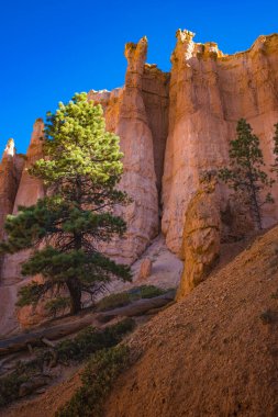 Bryce Kanyonu Ulusal Parkı, Utah, ABD