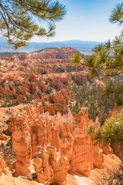 Bryce Kanyonu Ulusal Parkı, Utah, ABD