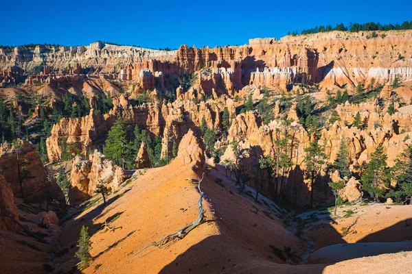 Bryce Kanyon Nemzeti Park Utah Usa — Stock Fotó