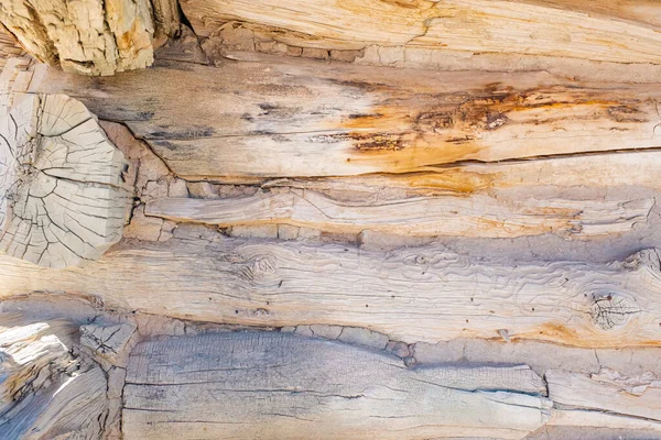 Detail Texture Wooden — Stock Photo, Image