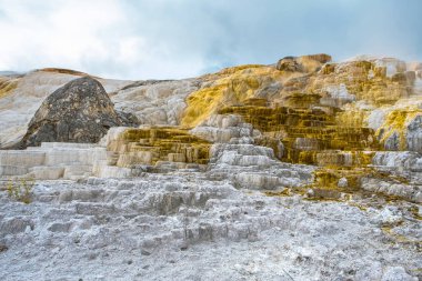 Minerva Terrace, Yellowstone Ulusal Parkı, Wyoming, Usa