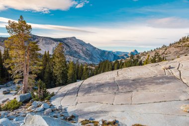 Yosemite Ulusal Parkı, Kaliforniya, ABD