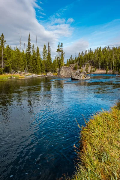 Parque Nacional Yellowstone Madison River Estados Unidos —  Fotos de Stock