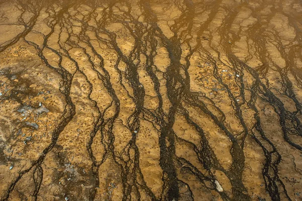 Colorful Bands Thermophilic Bacteria Yellowstone National Park Wyoming — 스톡 사진