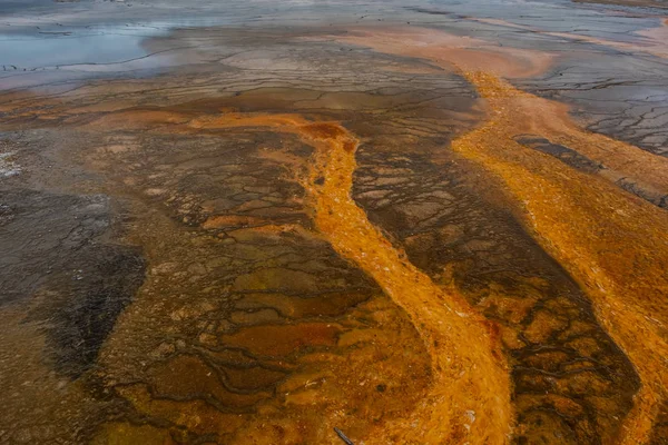 Nationaal Park Yellowstone Wyoming — Stockfoto