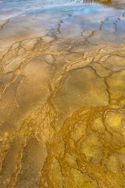 Kleurrijke Banden Van Thermofiele Bacteriën Yellowstone National Park Wyoming — Stockfoto