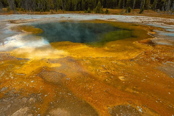 Park Narodowy Yellowstone Wyoming — Zdjęcie stockowe