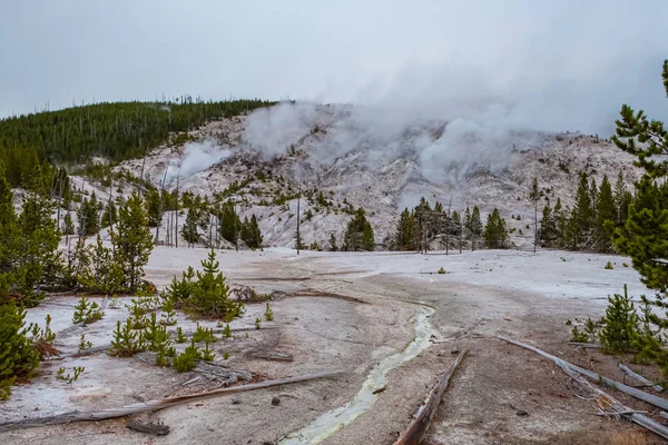 Parque Nacional Yellowstone Wyoming — Foto de Stock