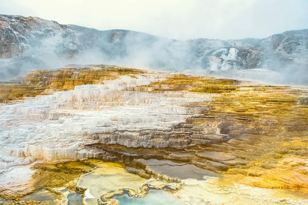 Minerva Terrace Yellowstone National Park Вайомінг Уса — стокове фото