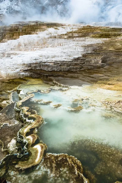 Minerva Terrace Yellowstone National Park Вайомінг Уса — стокове фото