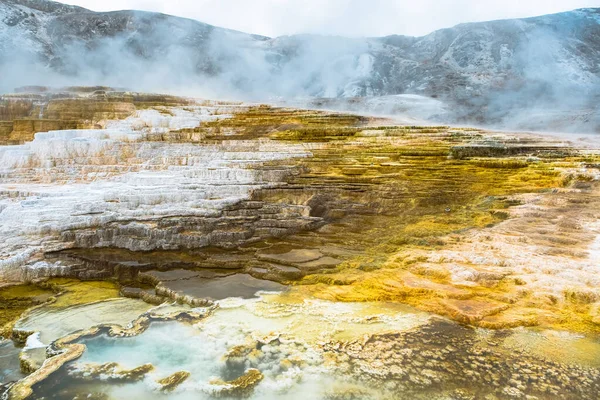 Minerva Terrace Yellowstone National Park Wyoming Stati Uniti — Foto Stock