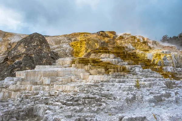 Minerva Terrasse Yellowstone Nationalpark Wyoming Usa — Stockfoto