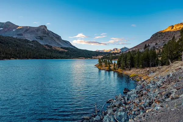 Parque Nacional Yosemite Califórnia Eua — Fotografia de Stock