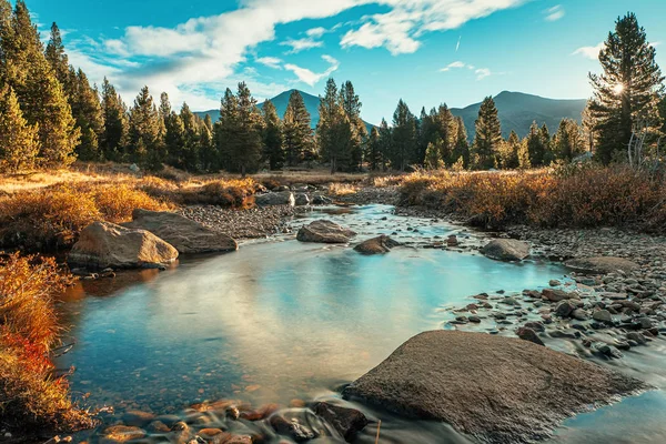 Park Narodowy Yosemite Kalifornia Usa — Zdjęcie stockowe