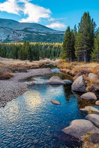 Parque Nacional Yosemite Califórnia Eua — Fotografia de Stock