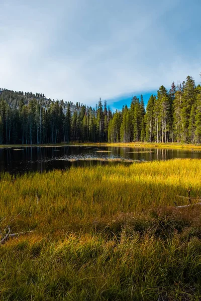 Parque Nacional Yosemite Califórnia Eua — Fotografia de Stock