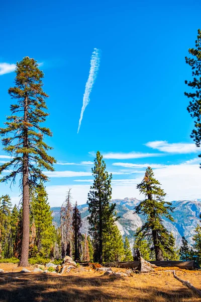 Parc National Yosemite Californie États Unis — Photo