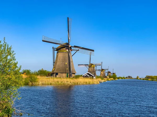 Windmolens Holland Een Zonnige Dag — Stockfoto