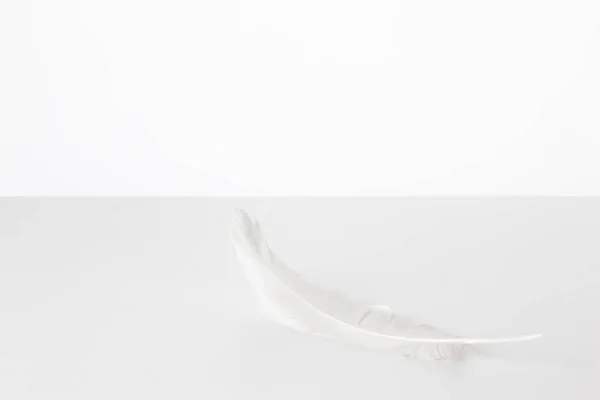 Close up of white feather — Stock Photo, Image