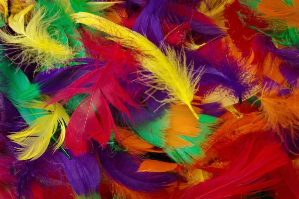 Coloured feathers backgound — Stock Photo, Image