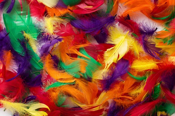 Coloured feathers backgound — Stock Photo, Image