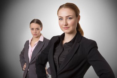 profesyonel iş modeli