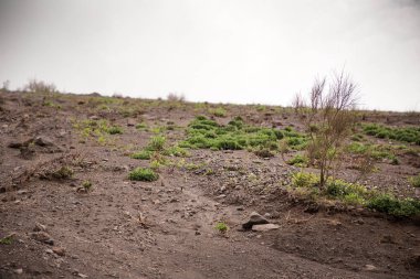 Bir yanardağın kenarındaki toprak