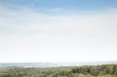 Tepe manzarası Surrey kırsalına bakıyor.