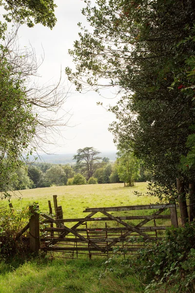 Zavřená Farma Brána Výhledem Pole Surrey Krajině — Stock fotografie