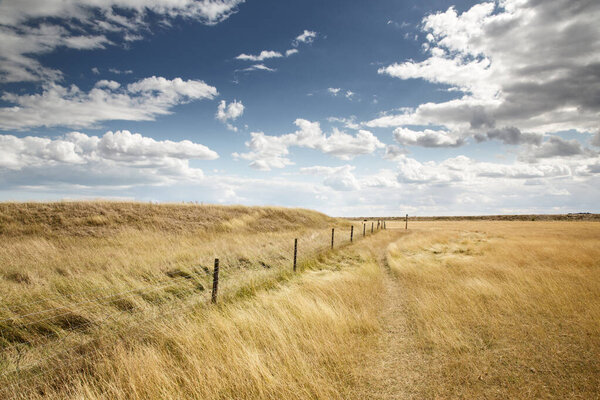Эссекс сельской местности сельхозугодий вокруг прогулки в голодный мост в облачный день
 
