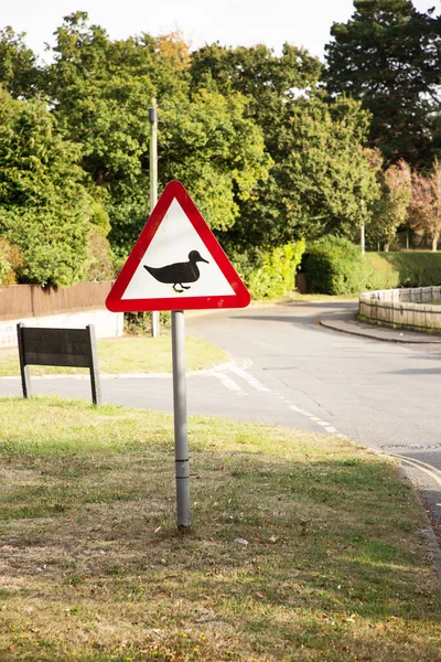Road Sign Street Road Duck Cross Point Coming — Stock Photo, Image