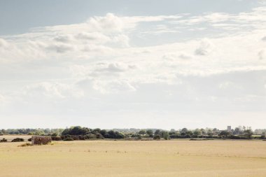 Norfolk ilçesi Happisburgh 'daki bir tarladaki ekinlerin manzarası.