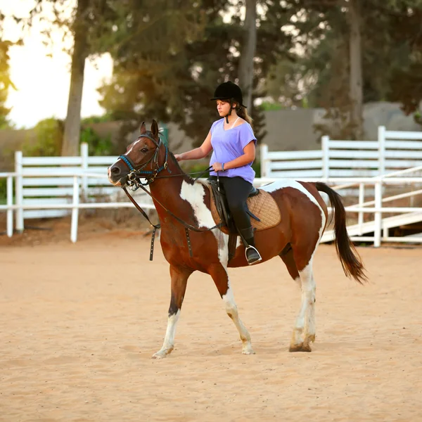 Equitazione, bella equestre - giovane ragazza sta cavalcando un hor — Foto Stock