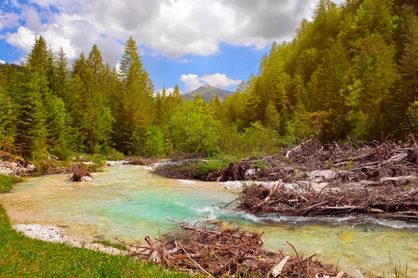 Nehir Bistrica, Slovenya — Stok fotoğraf