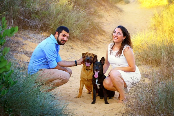 A young couple walk their two dogs — Stock Photo, Image