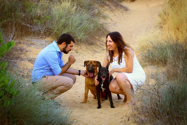 Genç bir çift onların iki köpek yürümek 