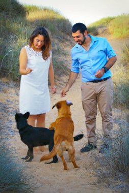 Genç bir çift onların iki köpek yürümek 