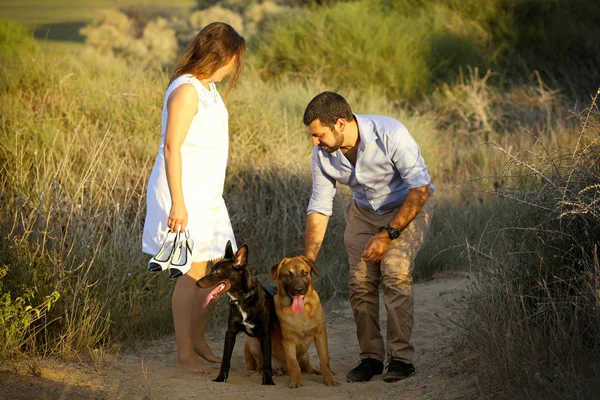 Young couple with two dogs — Stock Photo, Image