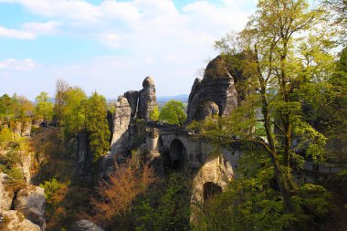 Almanya 'daki Saksonya parkı taşlarla dolu