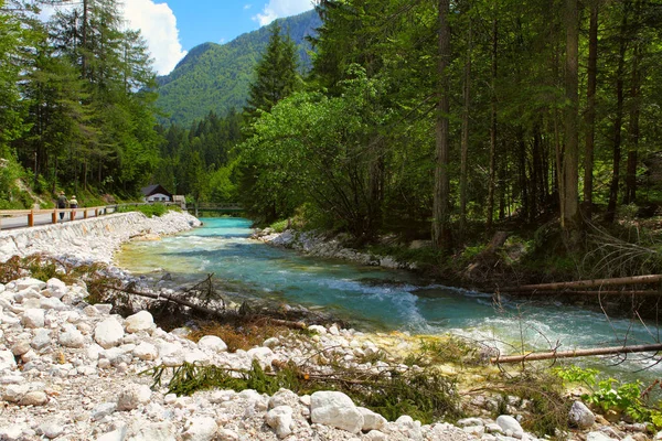 Milli Parkı Triglav — Stok fotoğraf